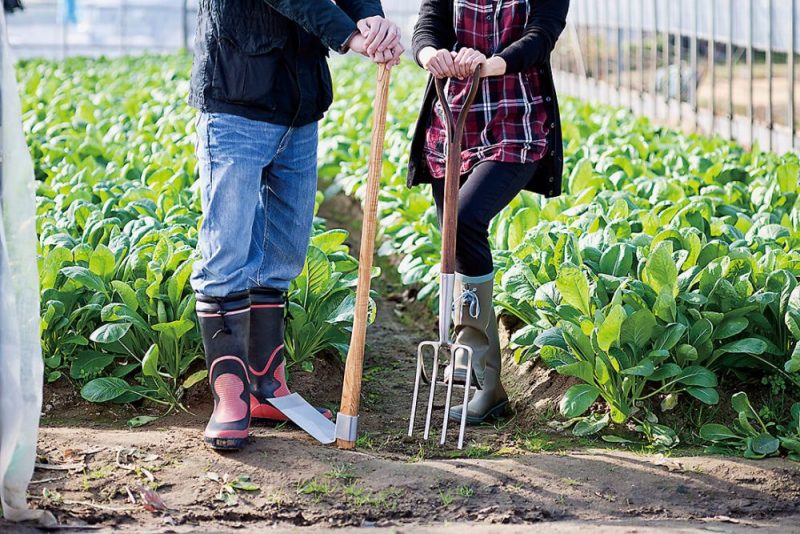 gardening