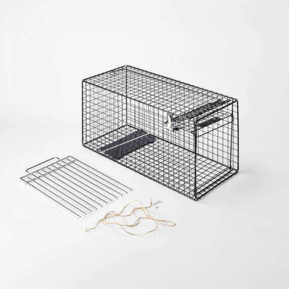 ねこから目線株式会社