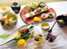 株式会社Teel【板前による手作りの味でさまざまな「食」の場を豊かに。新潟の郷土料理を次の時代に伝承していく】