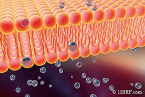 革新的生体親和性材料「MPCポリマー」を開発する東京科学大学認定ベンチャー
